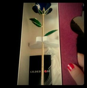 Gilded rose